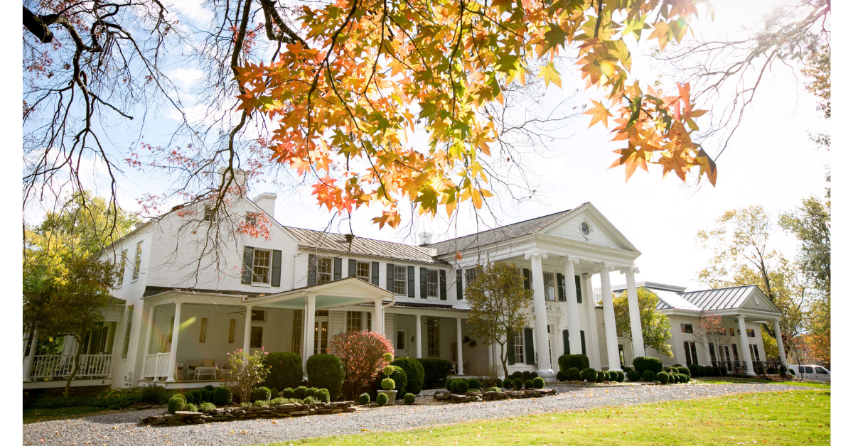 10 Reasons To Buy Automatic Gates For Your Property